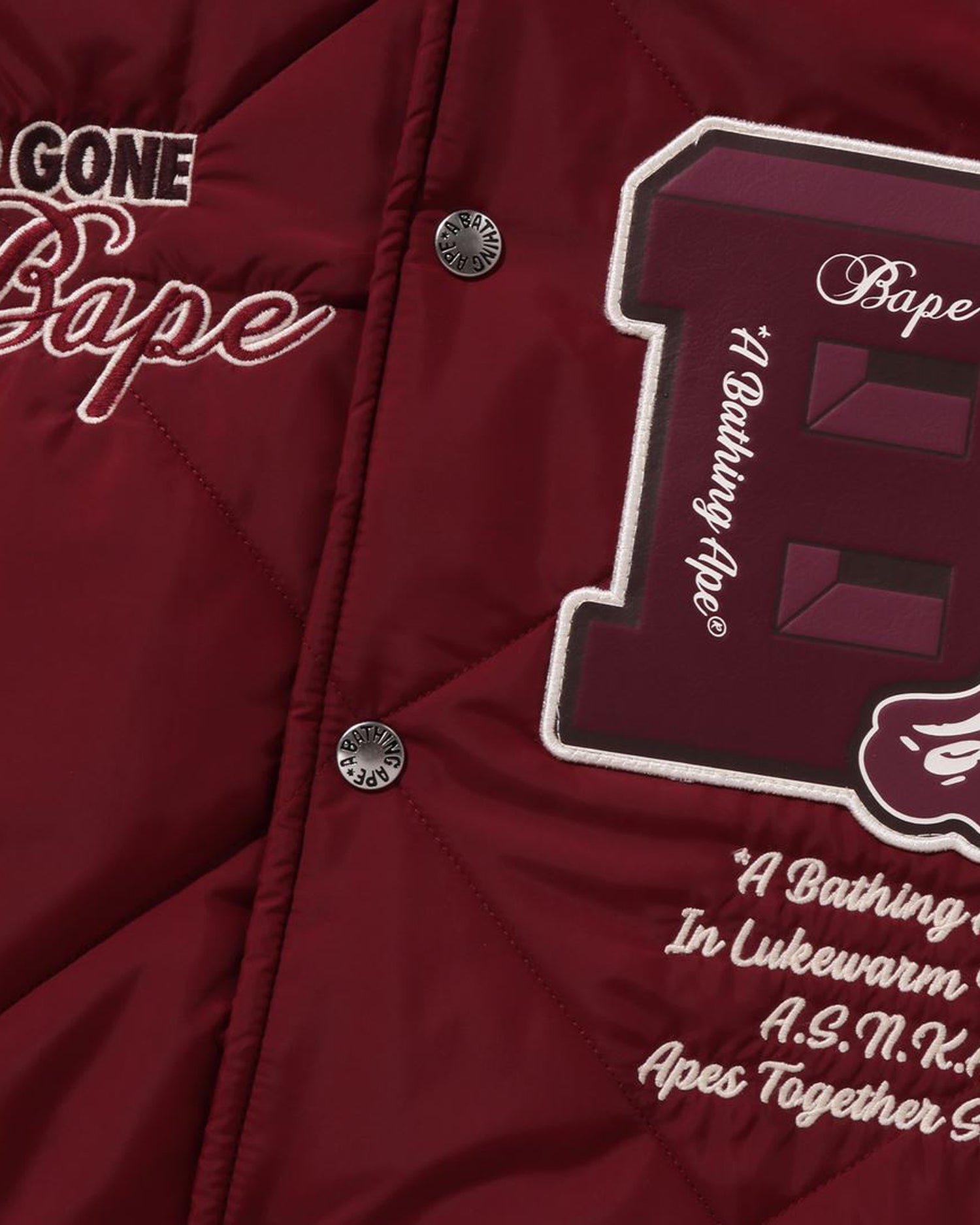 ジャケット・アウター BAPE COACH board jacket COACH® GB | Bape X Coach Snowboard Jacket