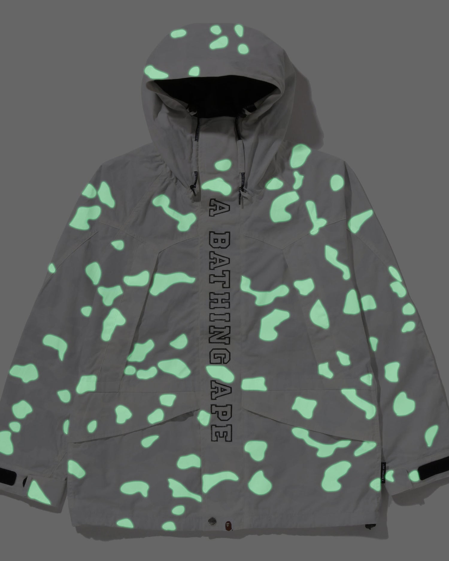 A BATHING APE® City Camo Snowboard Jacket | Bape official website