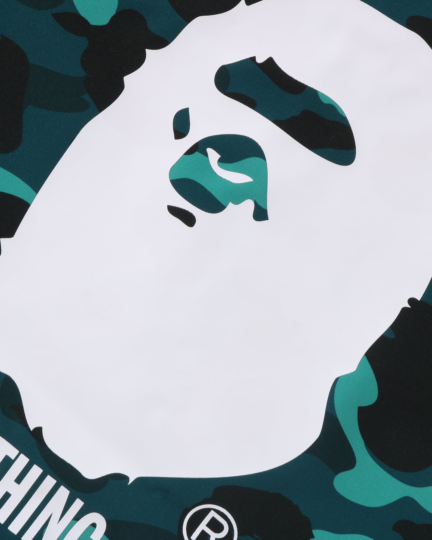 A BATHING APE® Color Camo Coach Jacket | Bape official website