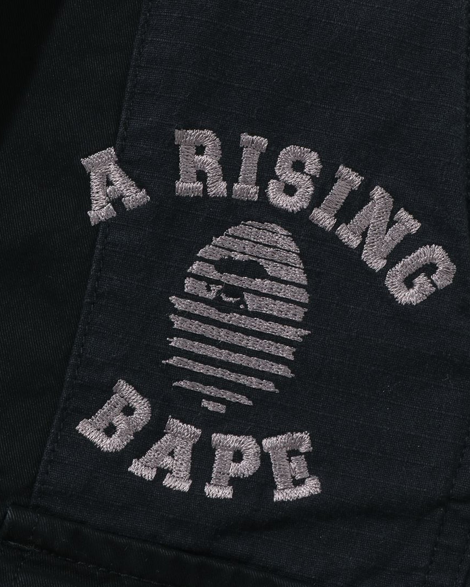 A BATHING APE® Asia Camo Army Pants | Bape official website – INT