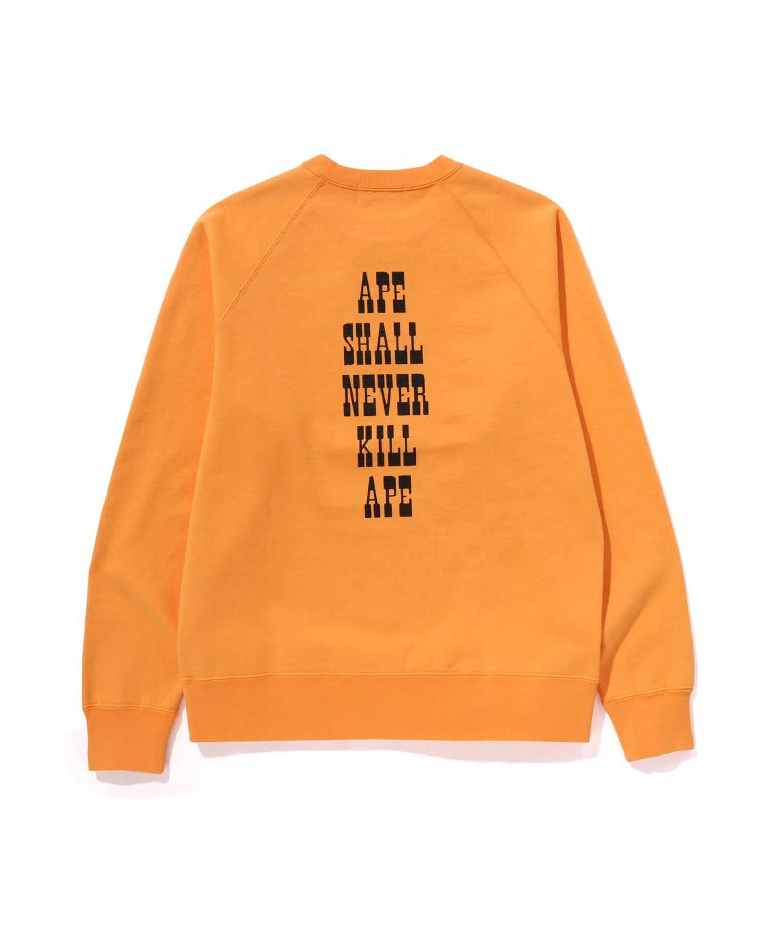 BABYMILOスウェットシャツ(メンズ) BABY MILO® STORE BY *A BATHING APE® ロゴ スウェットシャツ