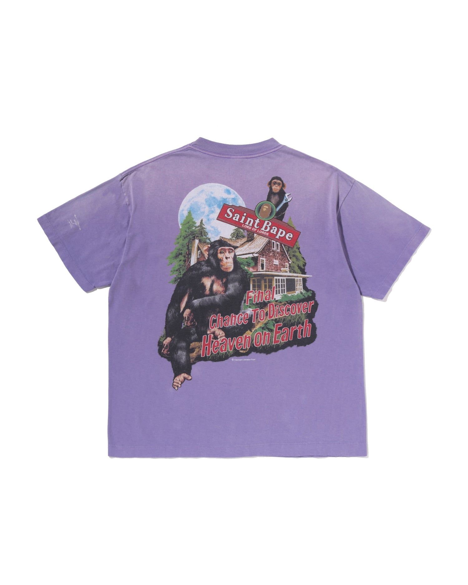 A BATHING APE® X Saint Mxxxxxx Tee | Bape official website – INT