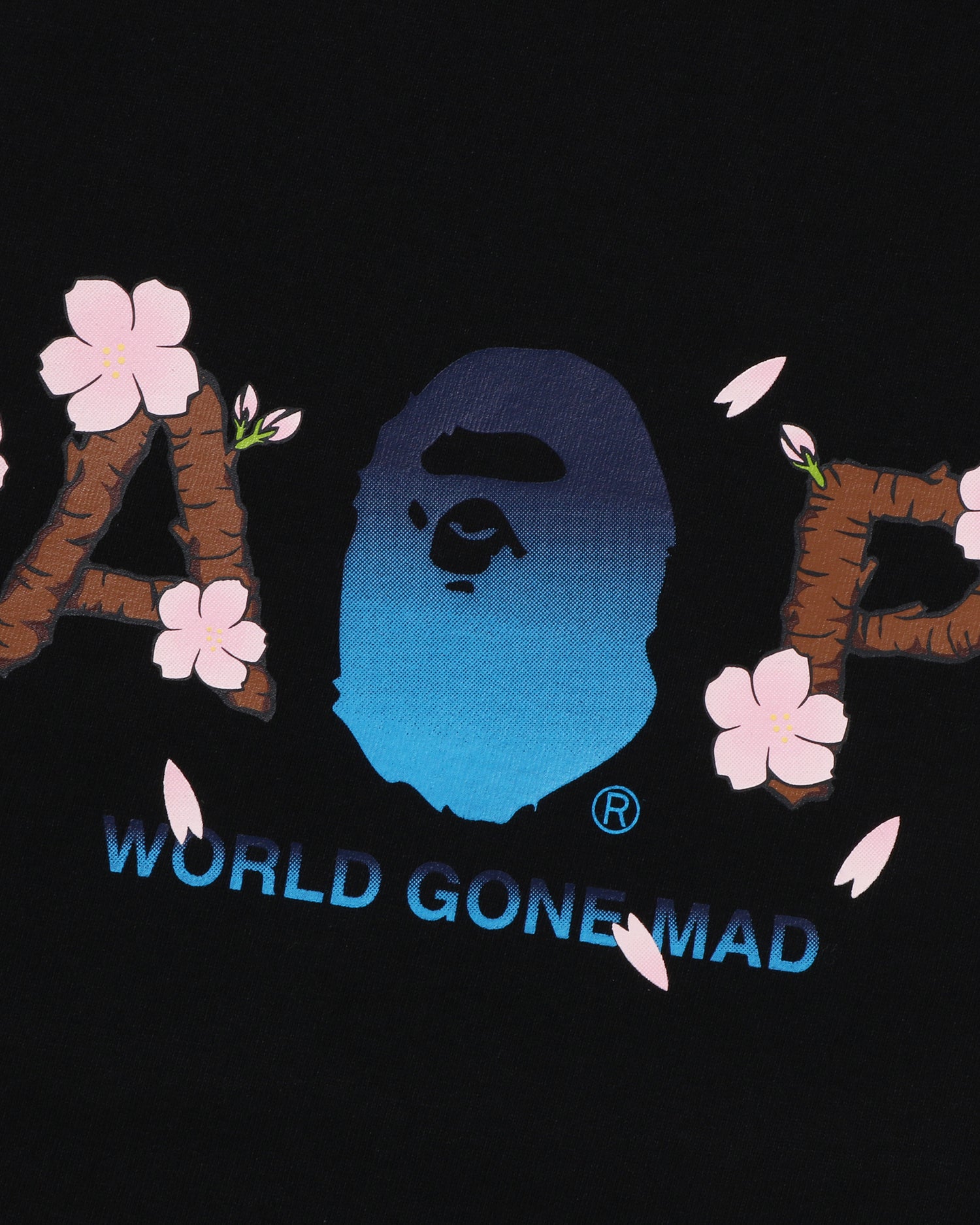 フライヤー】A BATHING APE「TOKYO BAPE MAP」（MAP CAMO BIG