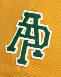 AAPCPM5228XXPYED-pdp-5.jpg