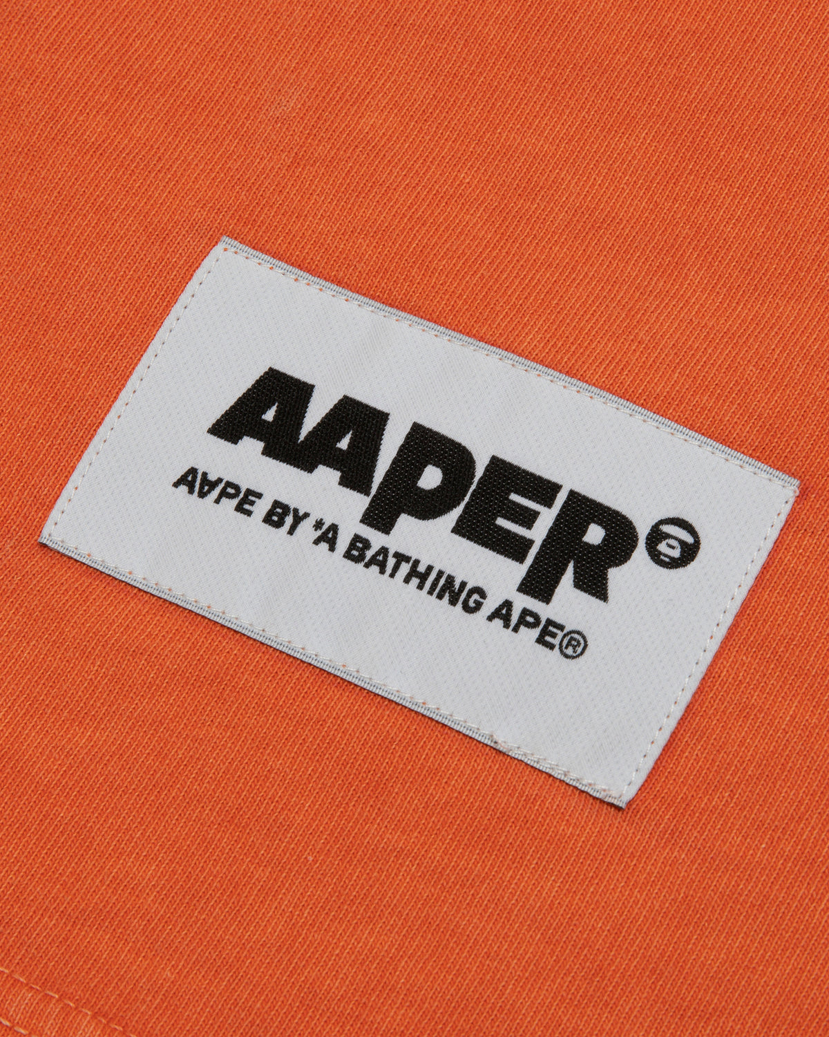 AAPTEM1619XXOORL-pdp-4.jpg