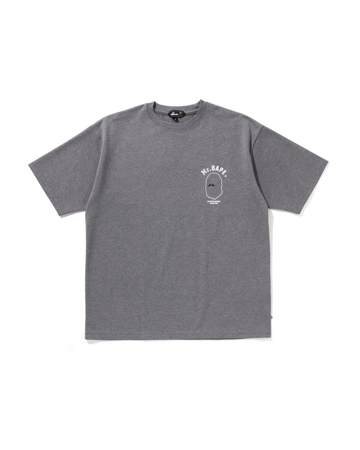 MR. BATHING APE Print Tee #2 | Bape official website – INT.BAPE.COM